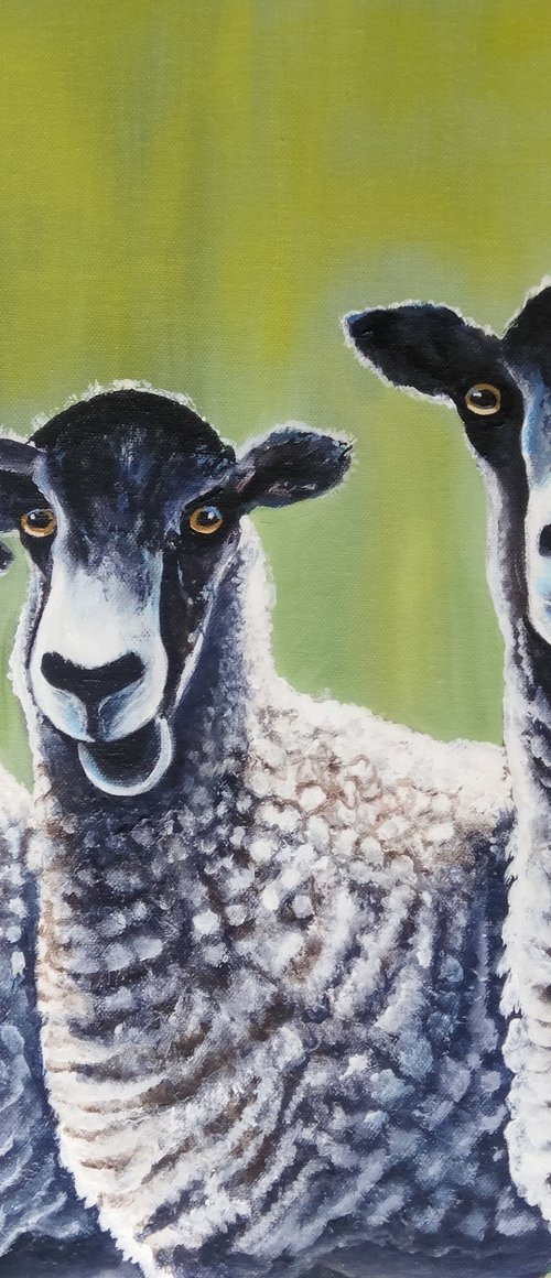 Who are Ewe looking at ? by Andy Duggan