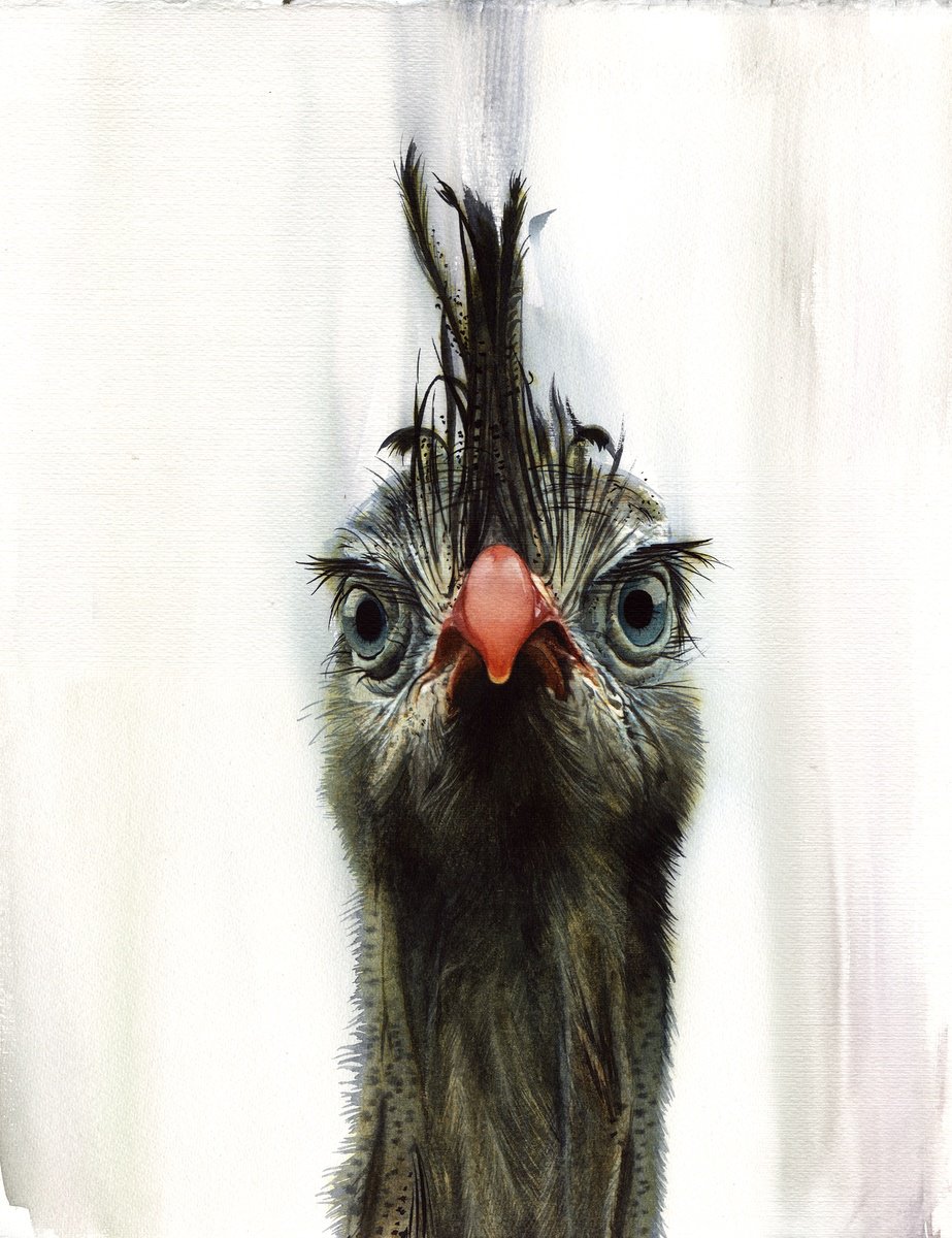 Photorealistic Watercolour , Bird Ccxxv - Red-Legged Seriema By Reme Jr., 13 X 17, Artwork For Sale On Artfinder