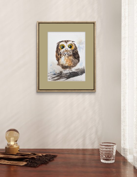 Amber-Eyed Owlet