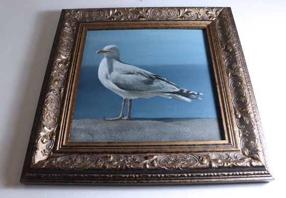 Lockdown Morning Chorus Series - By the Sea, Seagull Painting, Bird Art by Alex Jabore