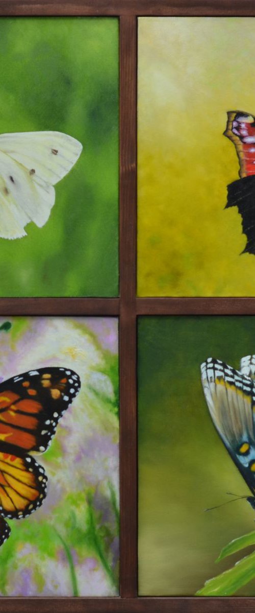 Four Butterflies by Andrew McNeile Jones