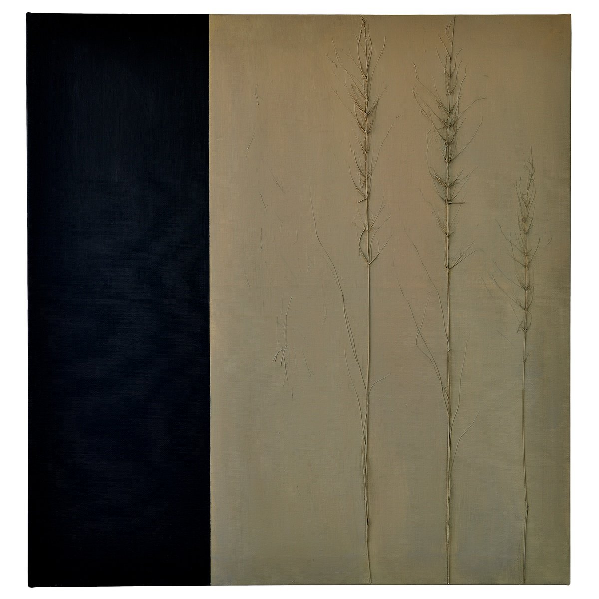  The Gift Of The Fieds By Monica Sarandrea, 37 X 39, Artwork For Sale On Artfinder