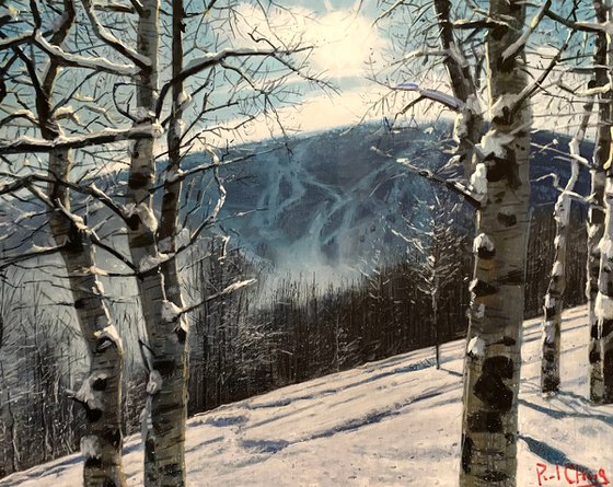 Light in the Snowy Forest
