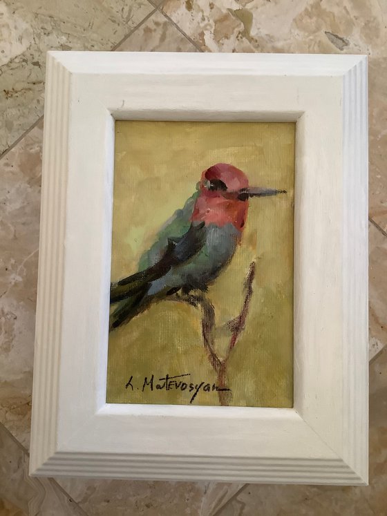 Hummingbird