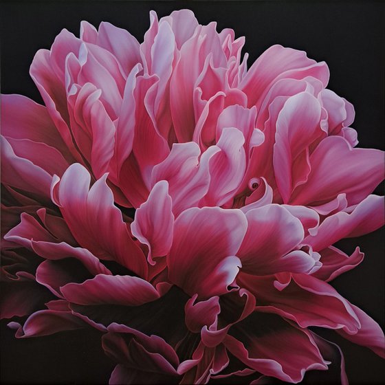 Energy of Pink Blossoming