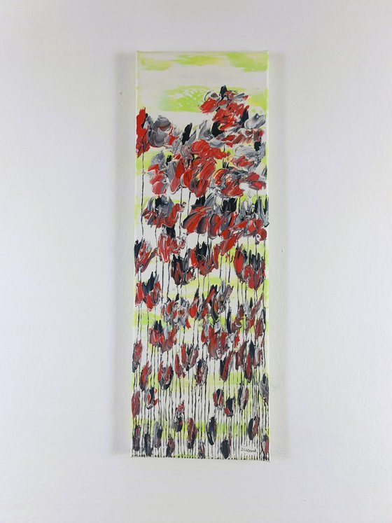 Poppy Flowers 1