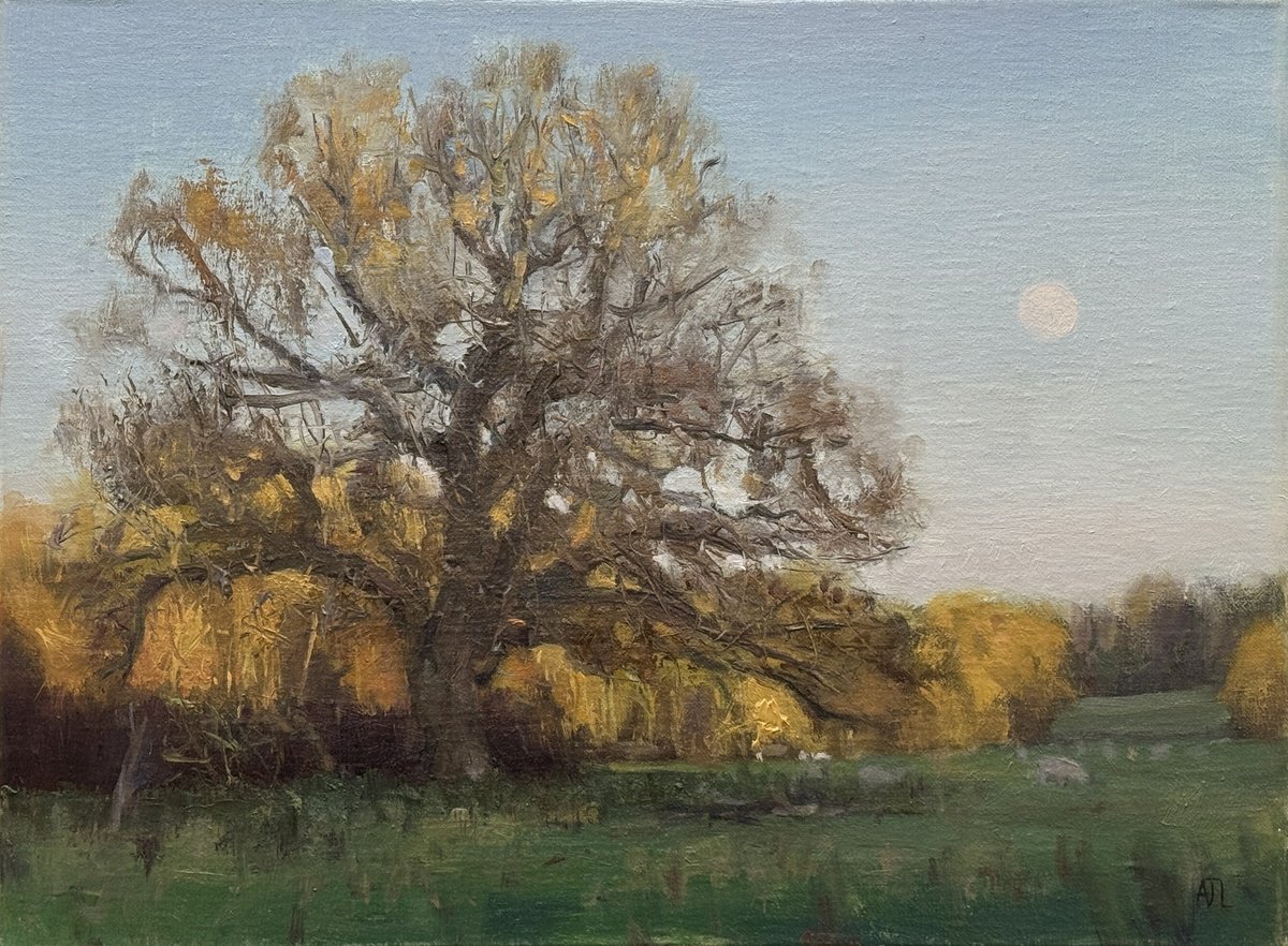 Impressionistic Landscape Oil Painting By Alex James Long, 16 X 12, Moonrise Over The Old Oak, Original Artwork