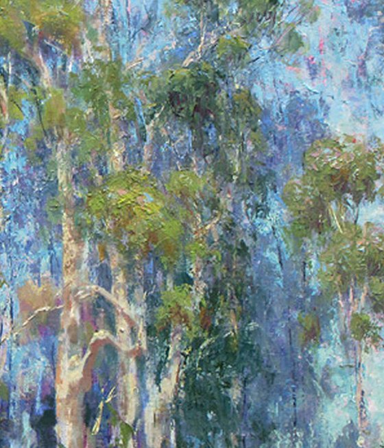 The Eucalyptus Grove