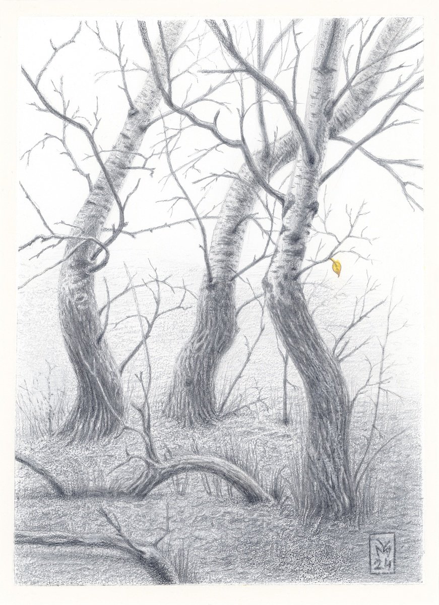 Graphic Botanical Drawing By Yuliia Moiseieva, 6 X 7", Last Leaf, Original Artwork