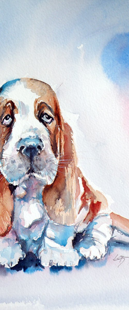 Basset hound puppy by Kovács Anna Brigitta