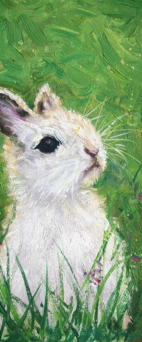 Curious rabbit... - Animal portrait /  ORIGINAL PAINTING by Salana Art Gallery