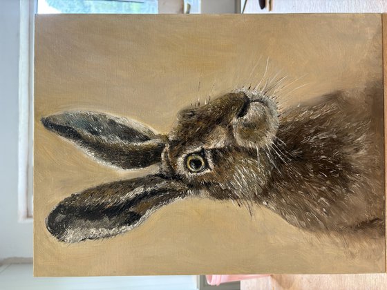 Framed Hare Oil Painting Original Impasto