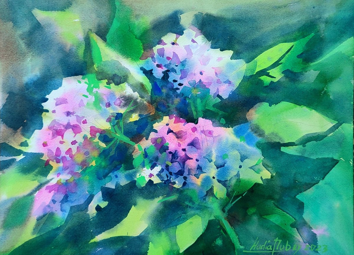 Hydrangea flowers by Nadiia Dubei