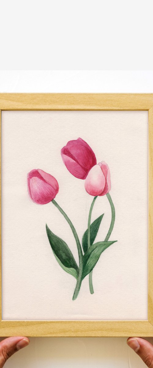 Tulips by Mia