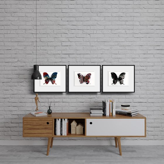 A Butterfly Story Collection 2