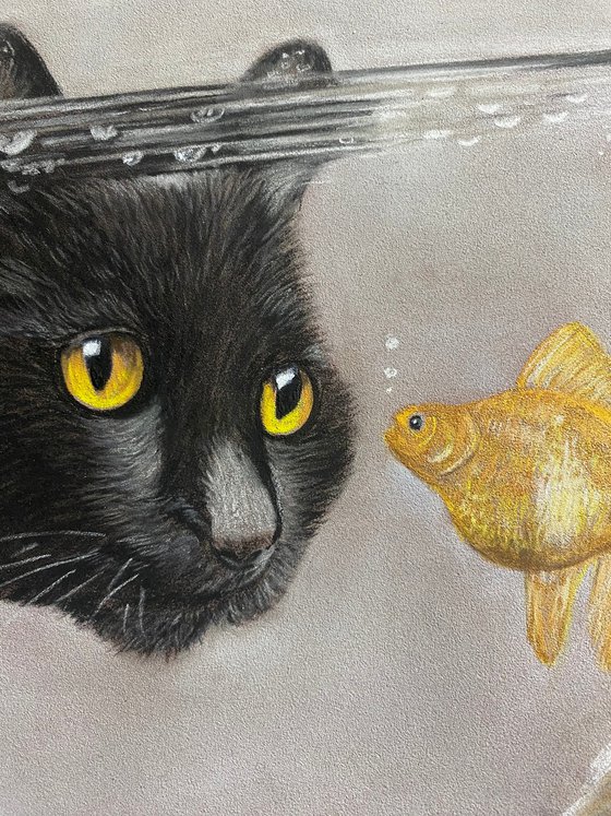 Cat watching goldfish