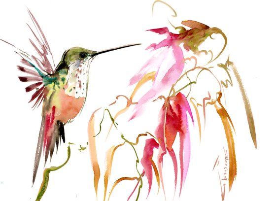 Hummingbird