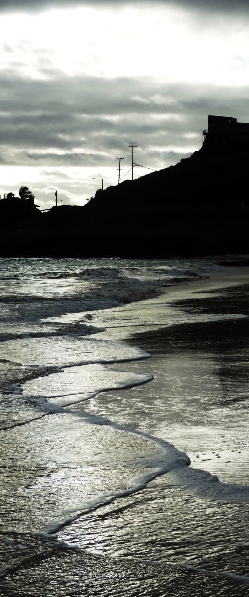 Crisscrossing Surf, Hawaii by Leon Sarantos