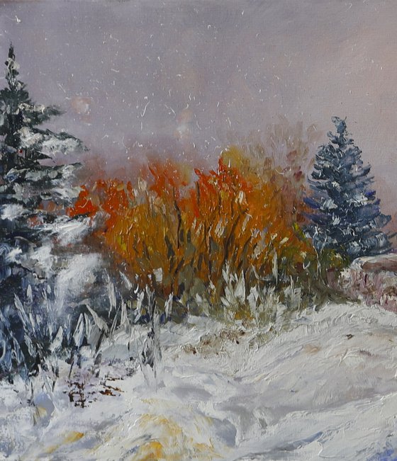 The Last Warmth