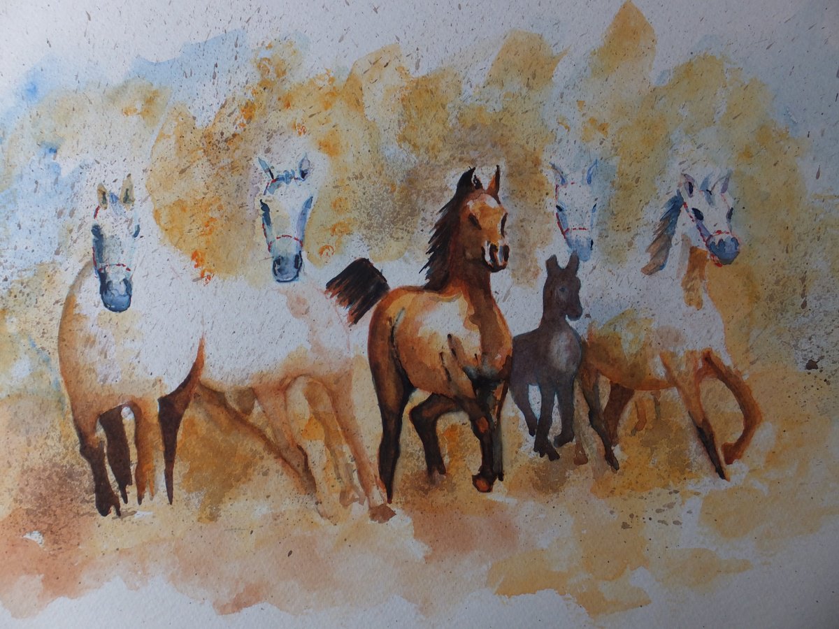 Horses out of the mist by David Harmer