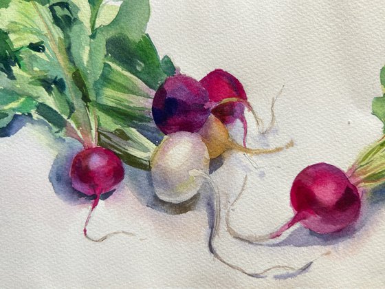 Radish