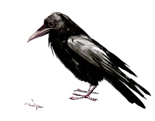crow by Suren Nersisyan