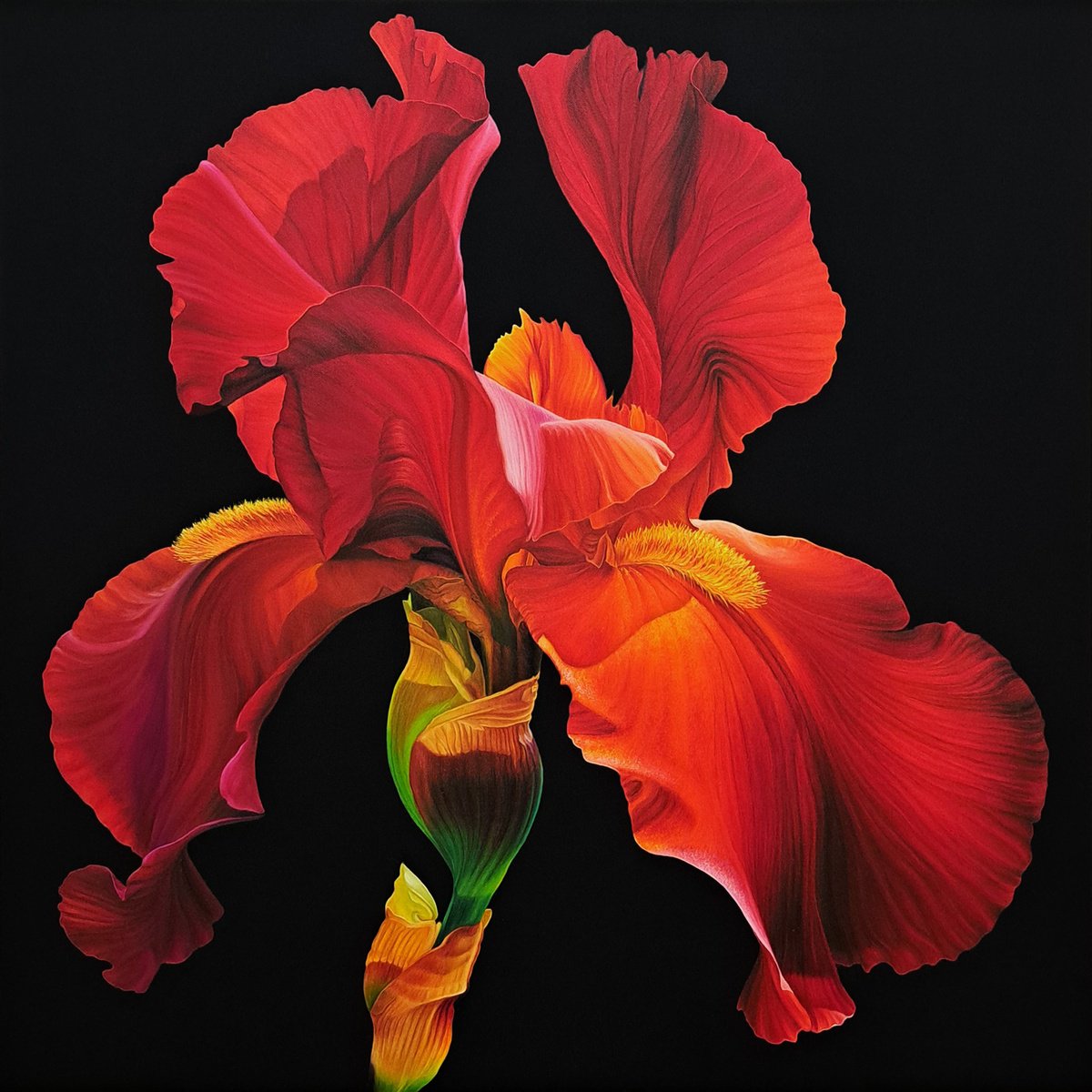 Photorealistic Oil Painting , Portrait Of Iris. Scarlet By Anna Steshenko, 31 X 31, Artwork For Sale On Artfinder