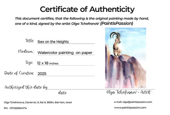 Ibex on the Heights