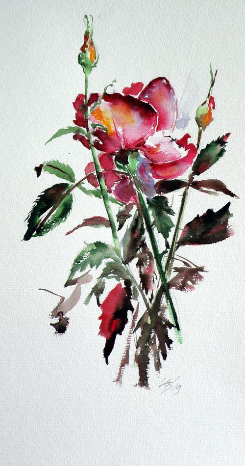 Roses of summer by Kovács Anna Brigitta