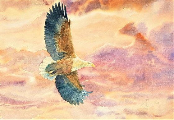 KING OF SKY original watercolour 53X35