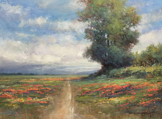 Summer Wildflowers 191116, flower field impressionist landscape oil painting