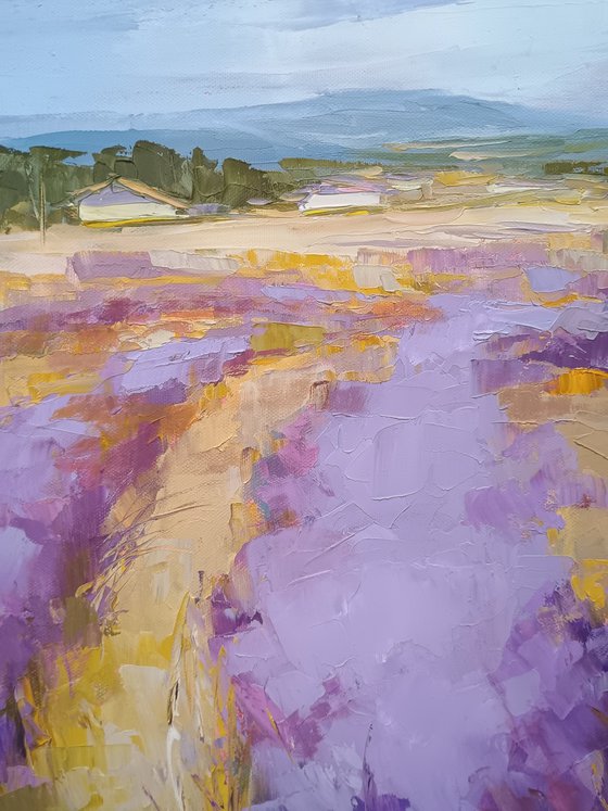 LAVENDER TIME