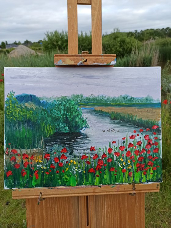 Red poppies by the water. Pleinair painting