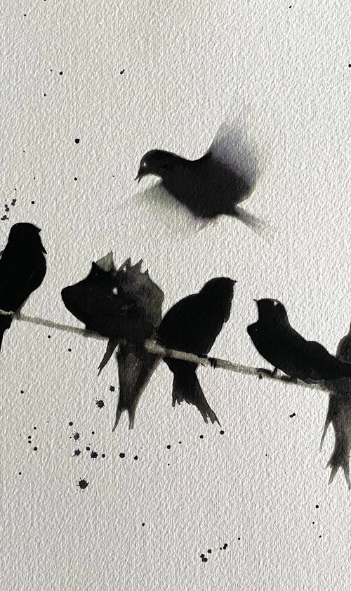Swallows on a line by Teresa Tanner