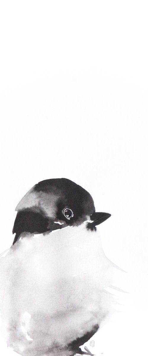 Bird by Nadia Moniatis