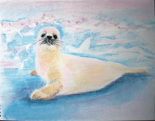 Seal pup by Salana Art Gallery