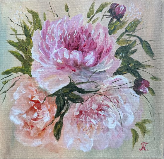 Collection of Delicate Flowers - Peonies