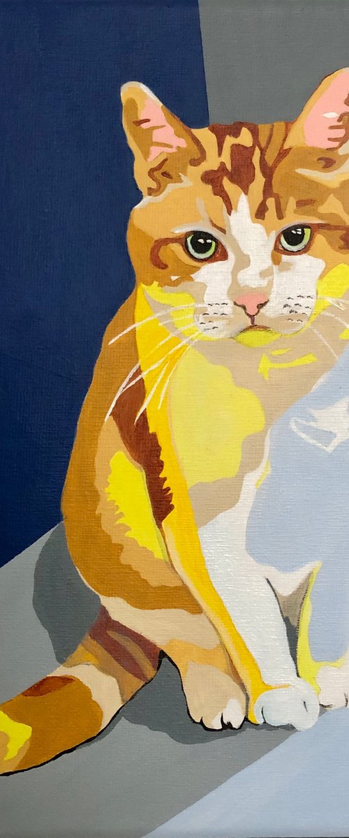 PURRSON by Lucyanne Terni