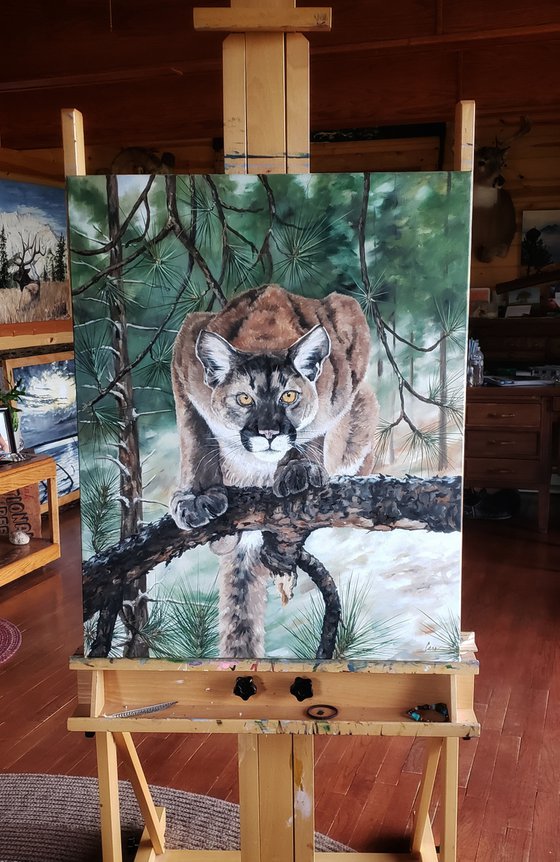 Wildlife - Mountain Lion - Cat - "Poised to Pounce"