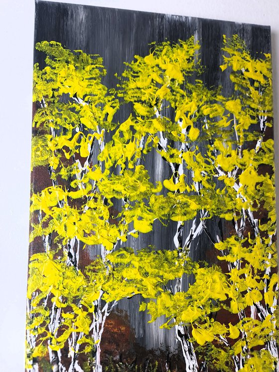 Heavenly Birches 5