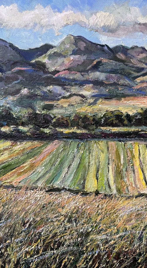 Birtvisi Canyon by Zurab Sharvadze