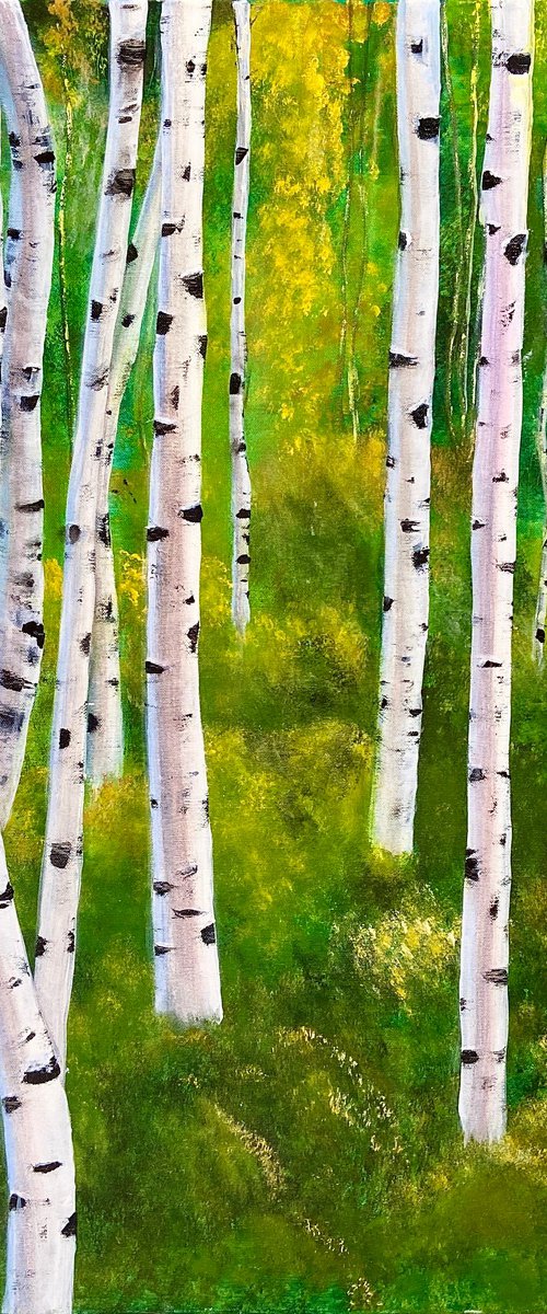 Silver Birch in Springtime by Heather Matthews