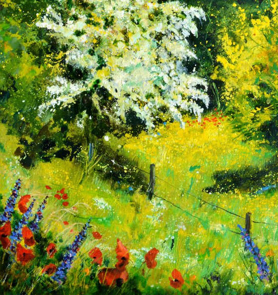 Blooming hawthorn - 7924