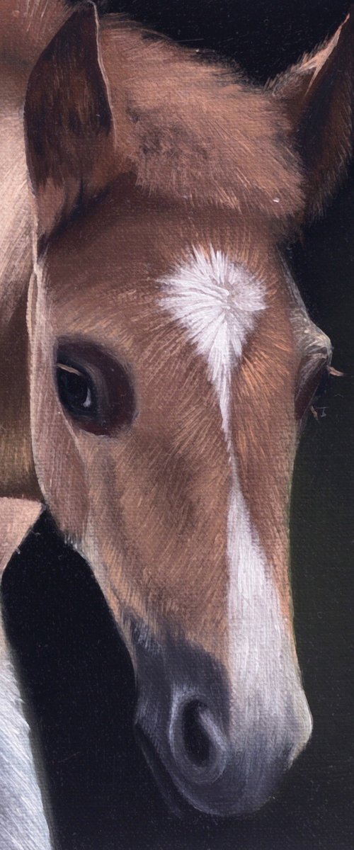 Horse Portrait 98 by Anastasia Parfilo