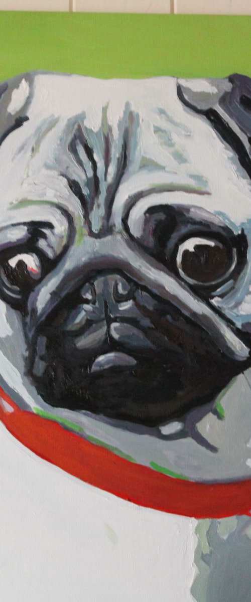 Peter Pug by Emma Cownie