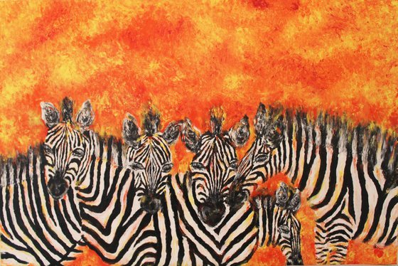 Stripes-Herd of Zebras