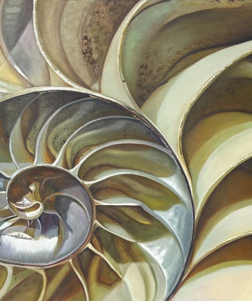 NAUTILUS POMPILIUS (V) by IrinaGoldenfish