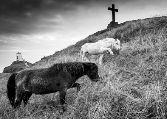 Llanddwyn Island Anglesey.