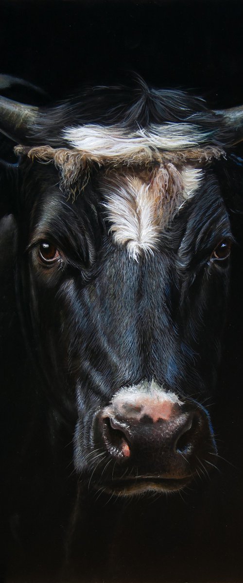 Black Beauty by Mayrig Simonjan