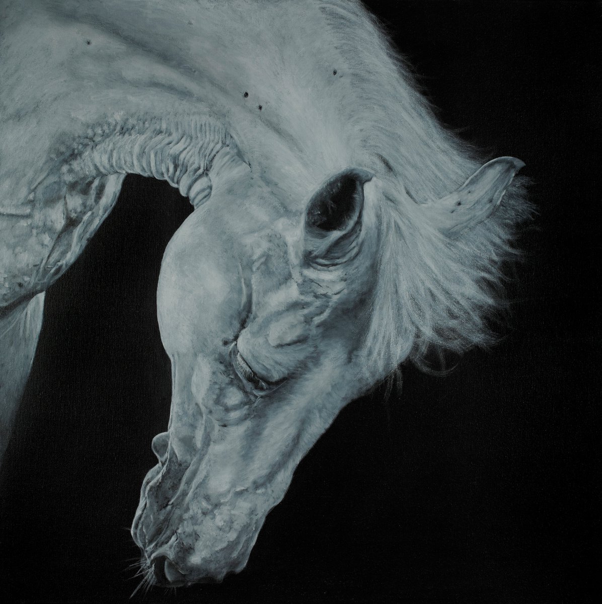 Grey Horse by Tracey Walker